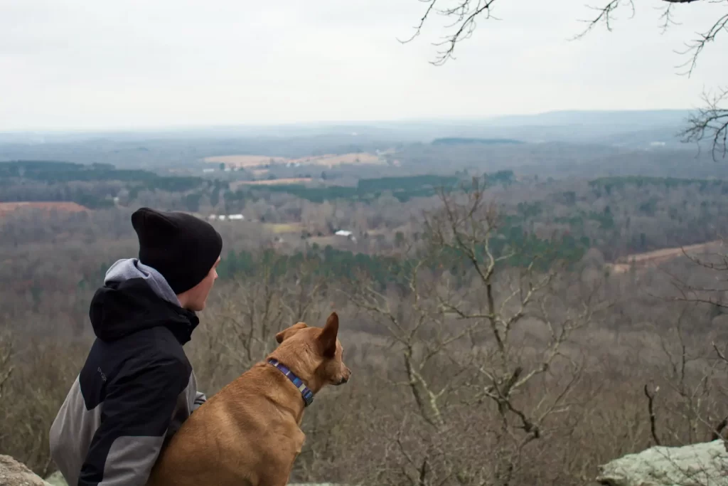 Indian Point Overlook in Shawnee National Forest