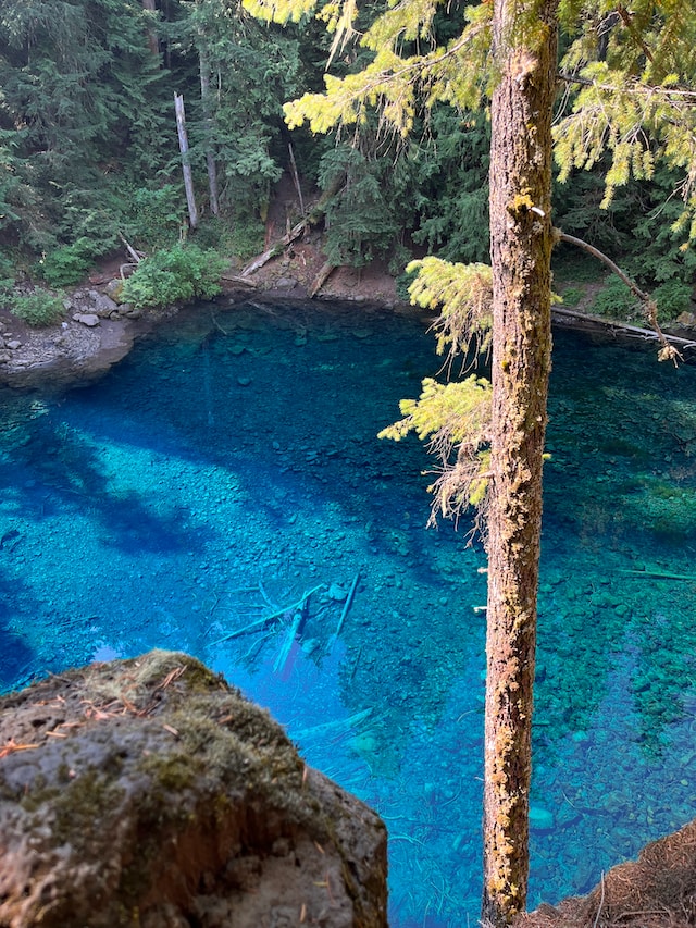 Tamolitch Falls - Tamolitch Blue Pool, Foster, OR, United States